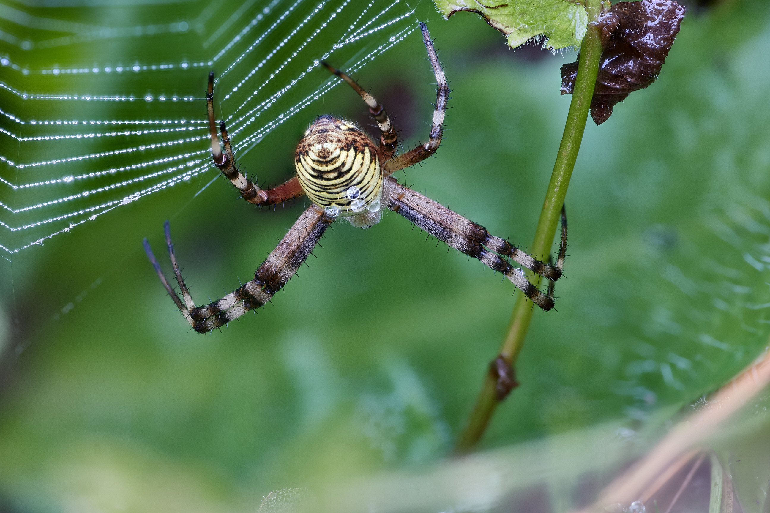 2019 07 29 20 14 02 final